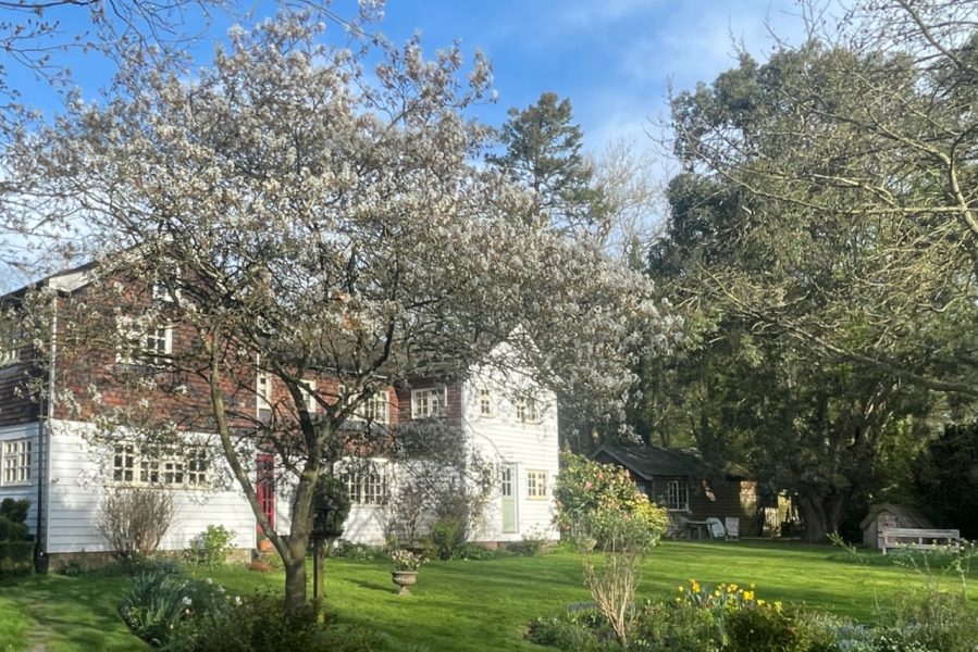 The Little holt looking from the garden